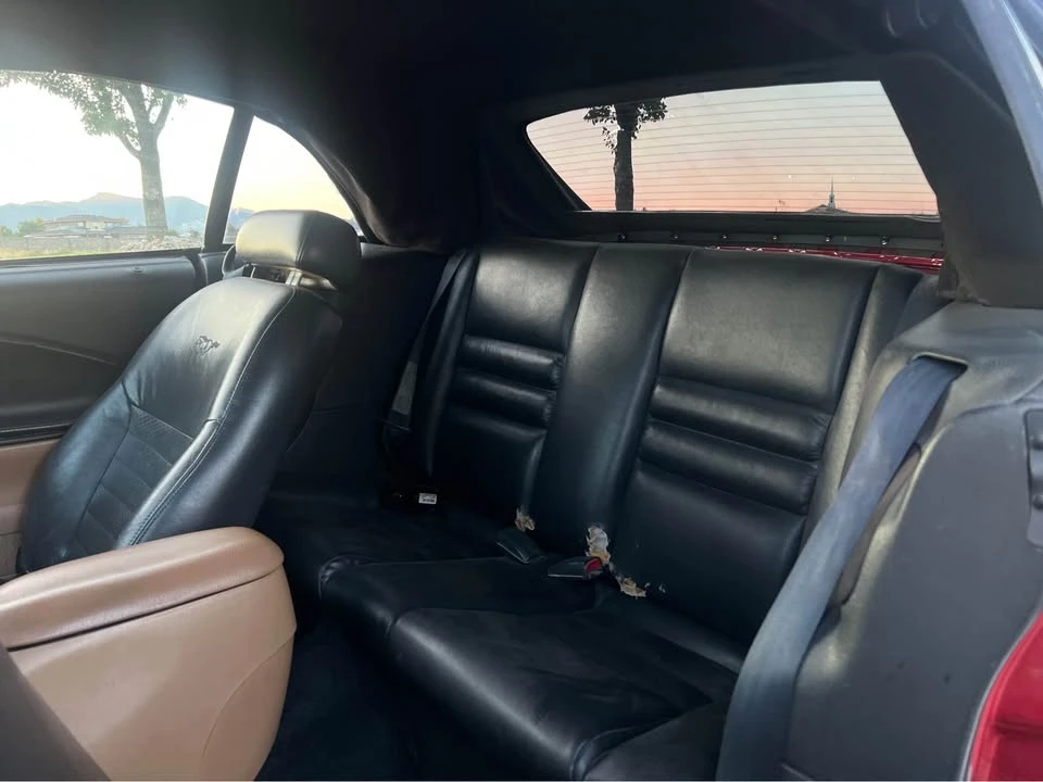 1997 Ford SN95 Mustang - Image 14 of 20