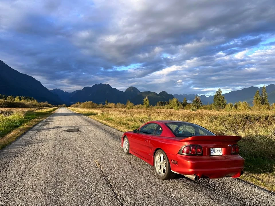 1997 Ford SN95 Mustang - Image 3 of 10