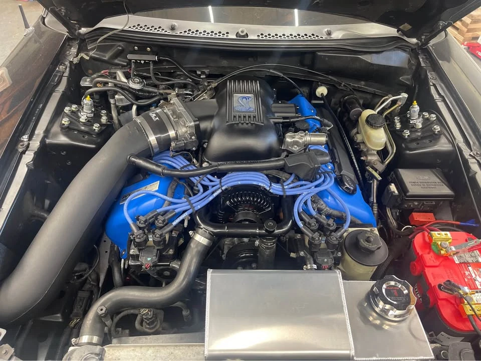 1997 Ford SN95 Mustang - Image 7 of 13