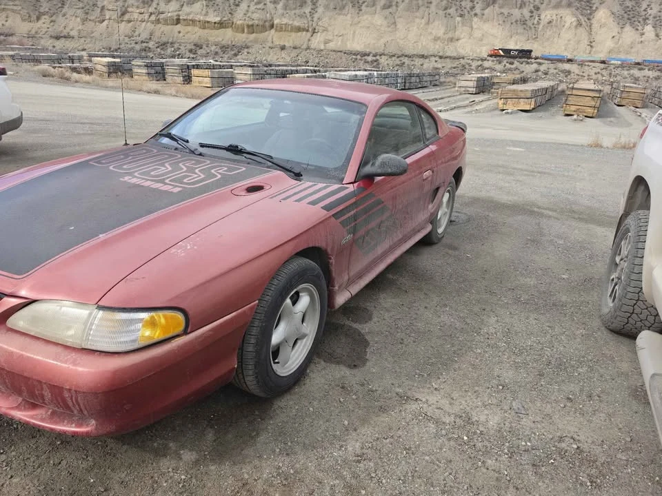 1997 Ford SN95 Mustang - Image 4 of 4