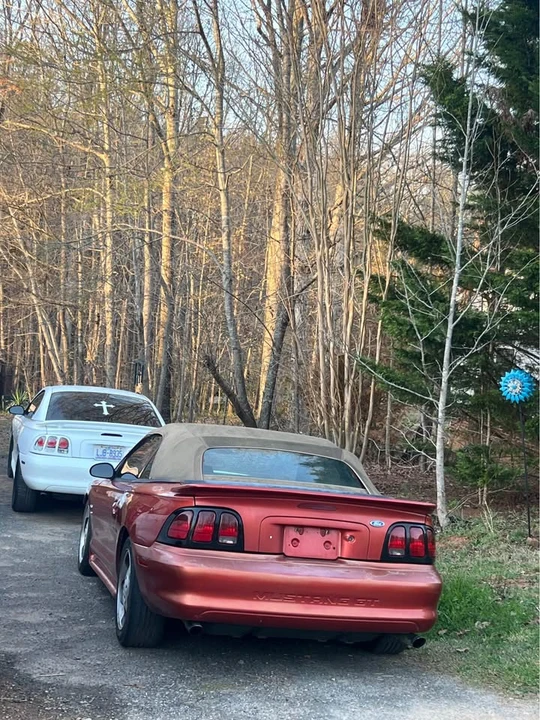 1997 Ford SN95 Mustang - Image 5 of 6