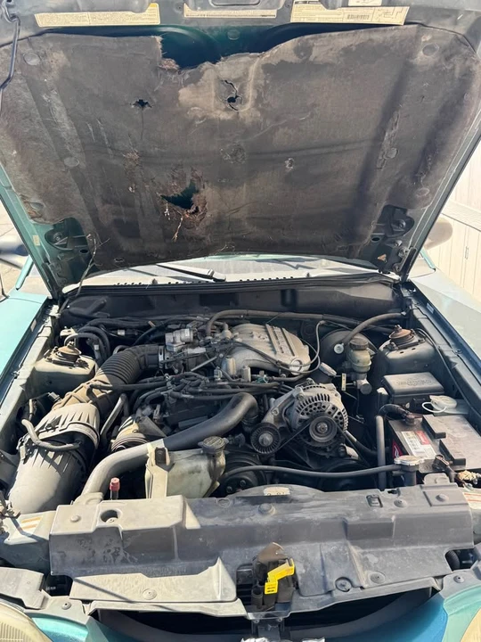 1997 Ford SN95 Mustang - Image 7 of 19