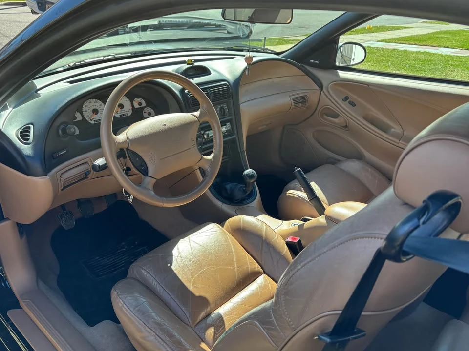 1997 Ford SN95 Mustang Cobra - Image 8 of 16