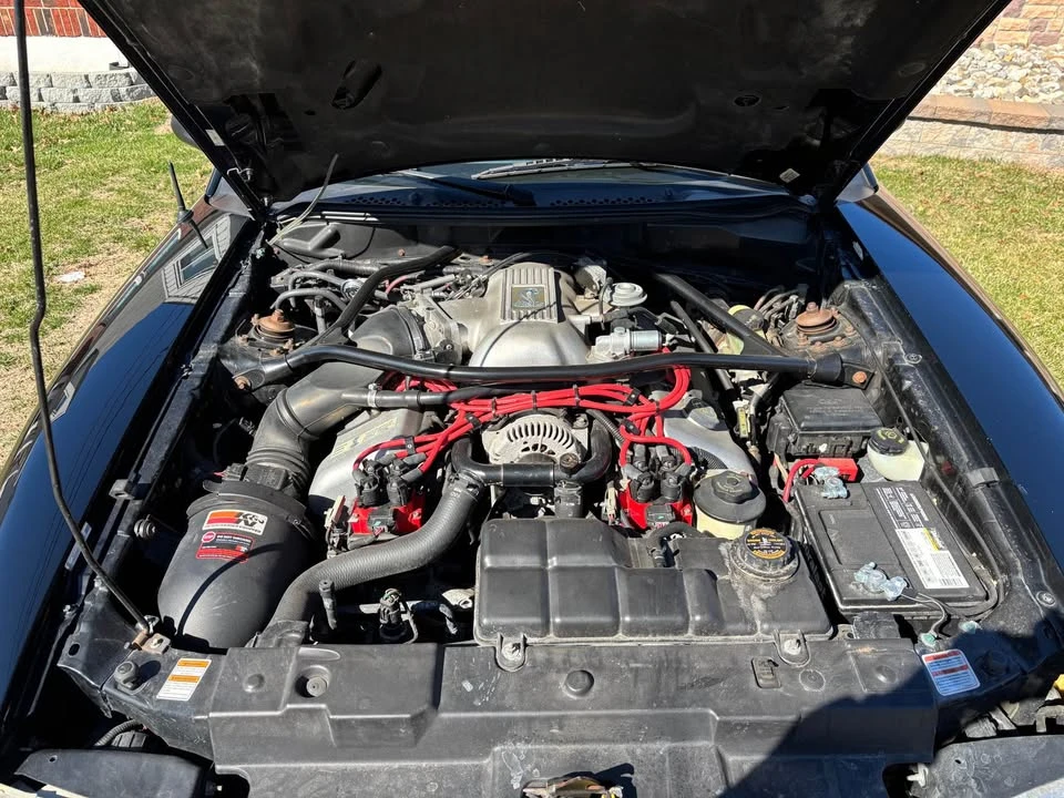 1997 Ford SN95 Mustang Cobra - Image 11 of 16