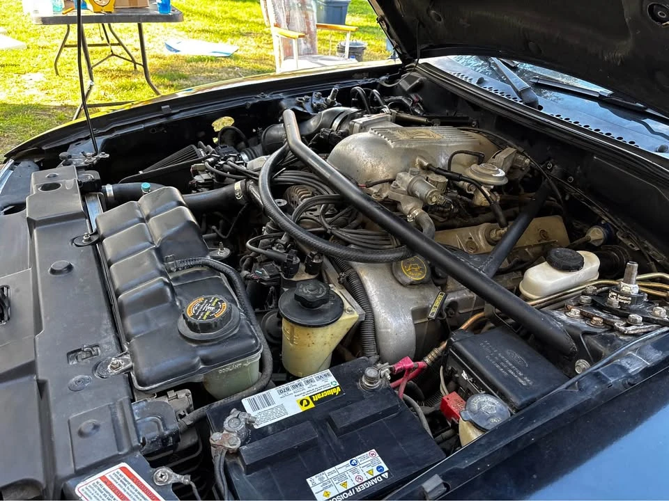 1997 Ford SN95 Mustang Cobra - Image 15 of 15