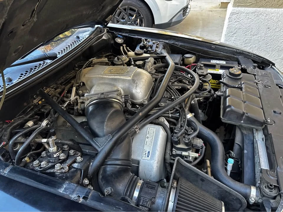 1997 Ford SN95 Mustang Cobra - Image 14 of 15