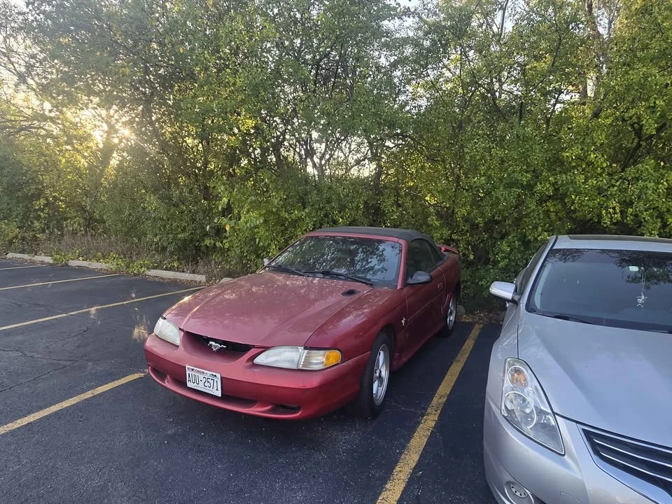 1997 Ford SN95 Mustang - Image 11 of 11