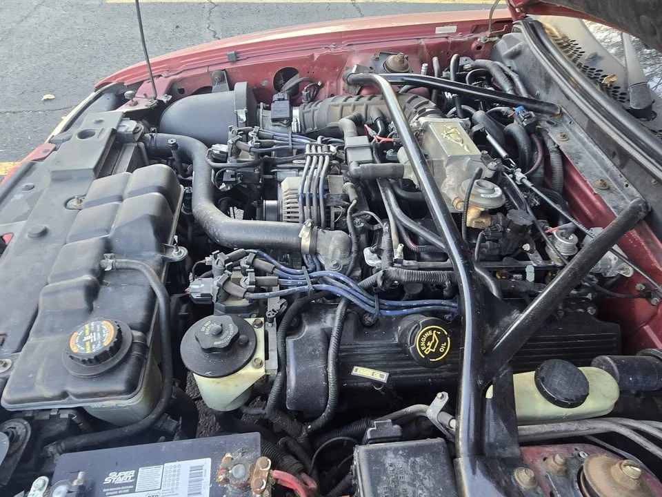 1997 Ford SN95 Mustang - Image 7 of 11