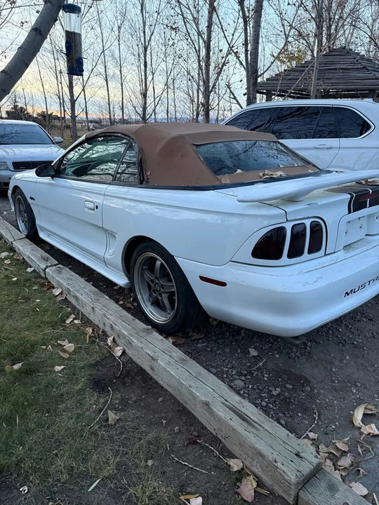 1997 Ford SN95 Mustang - Image 3 of 8