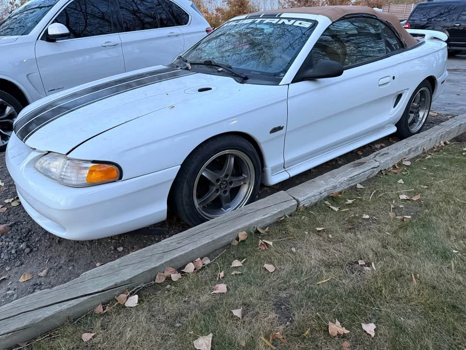 1997 Ford SN95 Mustang - Image 4 of 8
