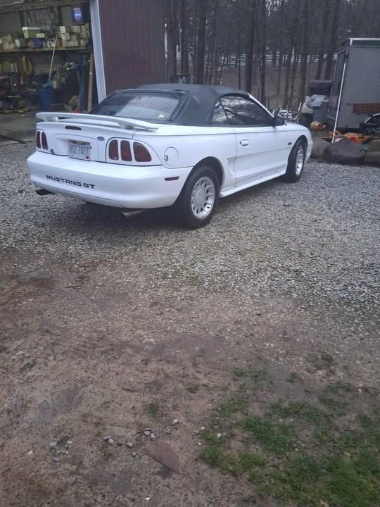 1997 Ford SN95 Mustang - Image 2 of 6