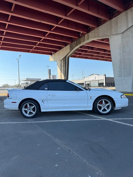 1997 Ford SN95 Mustang - Image 4 of 20