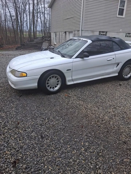 1997 Ford SN95 Mustang - Image 5 of 6