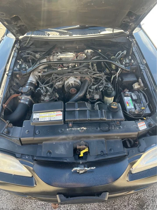 1997 Ford SN95 Mustang - Image 7 of 8