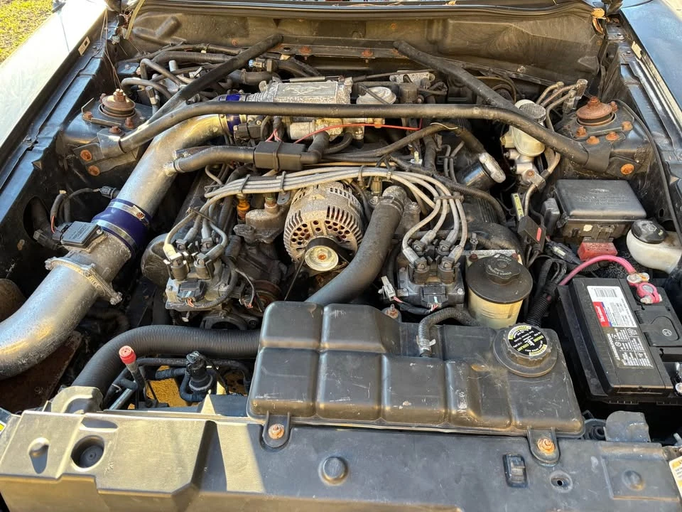 1997 Ford SN95 Mustang - Image 11 of 11