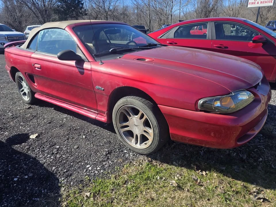 1997 Ford SN95 Mustang - Image 2 of 5