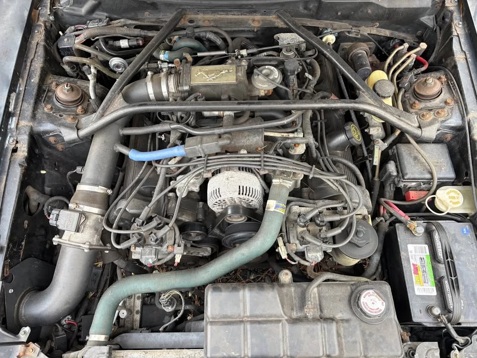 1997 Ford SN95 Mustang - Image 5 of 8
