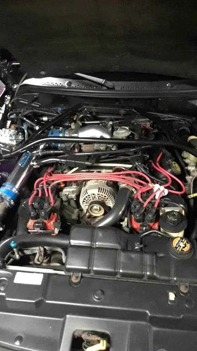 1997 Ford SN95 Mustang - Image 5 of 6