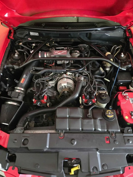 1997 Ford SN95 Mustang - Image 12 of 20