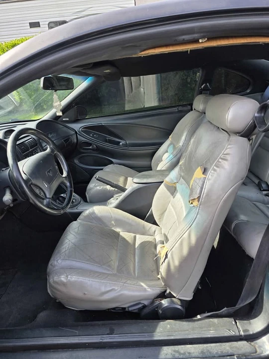 1997 Ford SN95 Mustang - Image 10 of 13