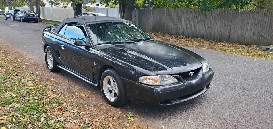 1997 Ford SN95 Mustang - Image 3 of 10