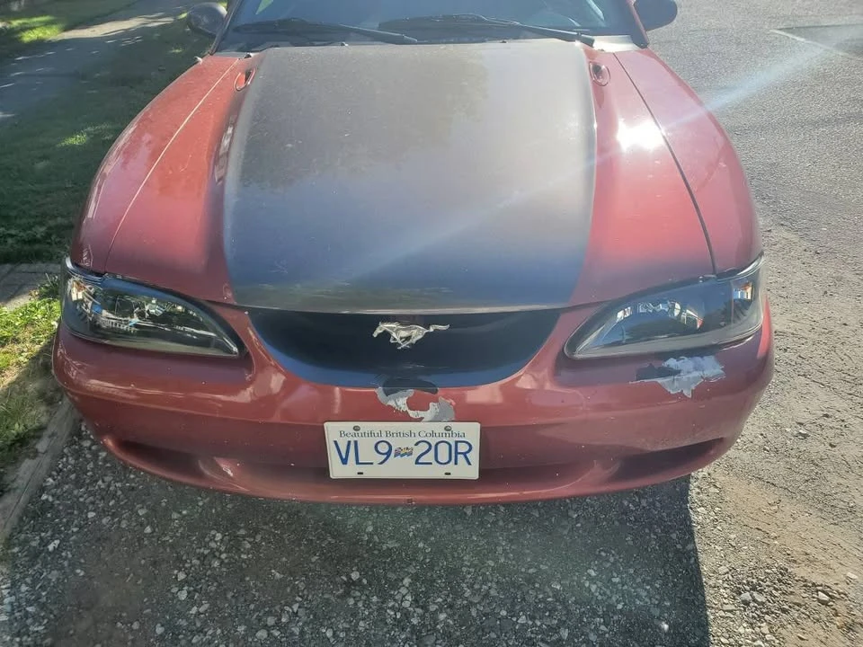 1997 Ford SN95 Mustang - Image 8 of 9