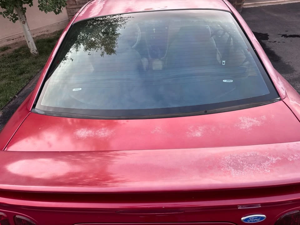 1997 Ford SN95 Mustang - Image 6 of 12