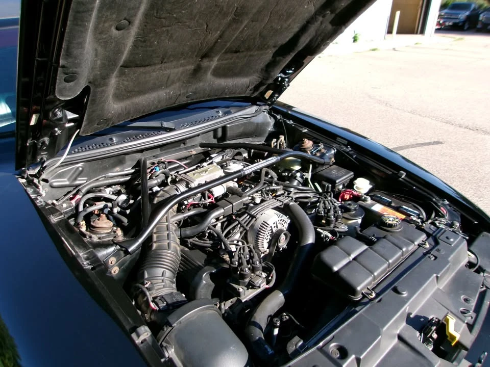 1997 Ford SN95 Mustang - Image 8 of 11