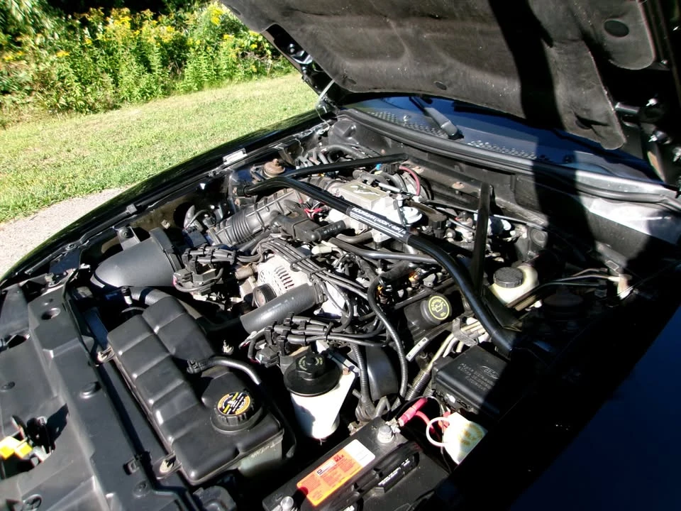 1997 Ford SN95 Mustang - Image 7 of 11