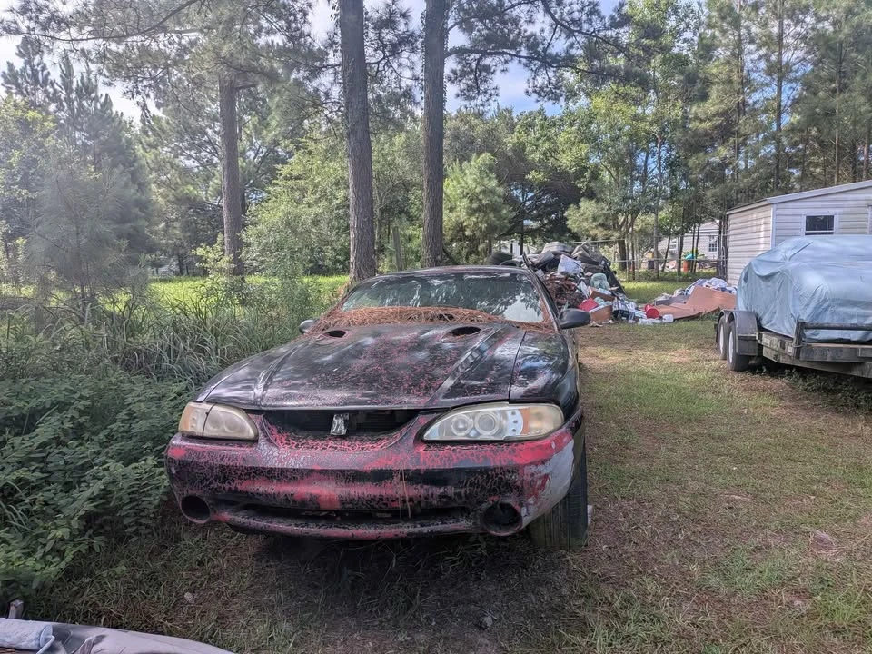 1997 Ford SN95 Mustang Cobra - Image 2 of 5