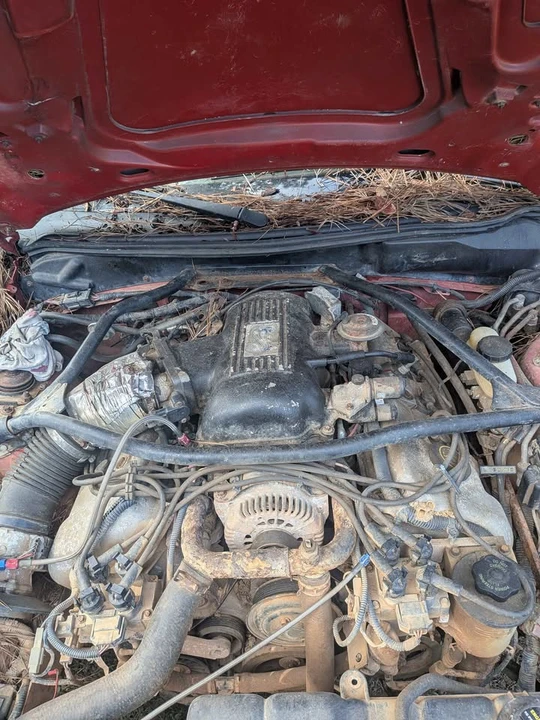1997 Ford SN95 Mustang Cobra - Image 4 of 5