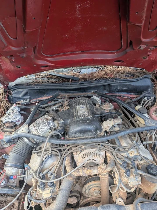 1997 Ford SN95 Mustang Cobra - Image 5 of 5