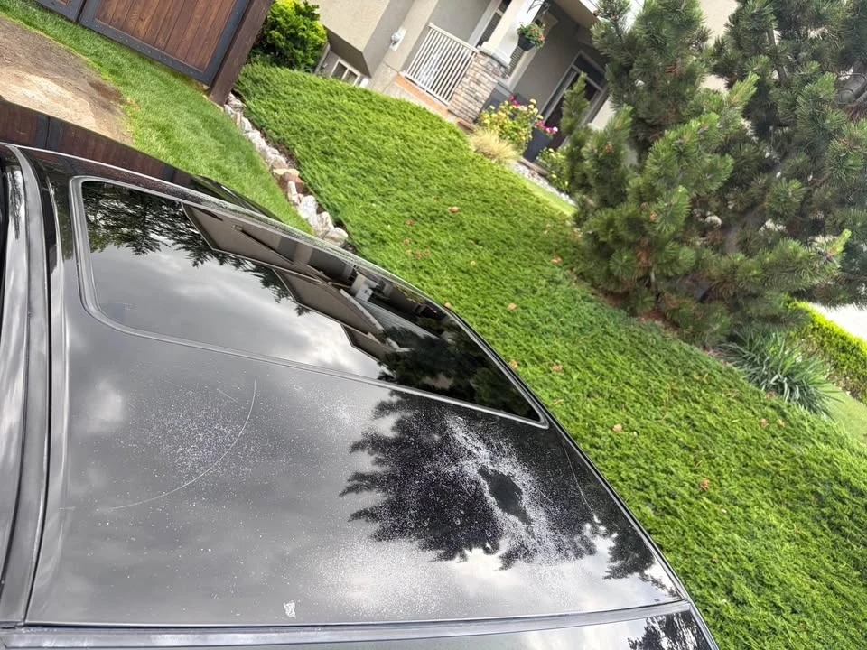 1997 Honda Prelude 5th Gen - Image 18 of 19