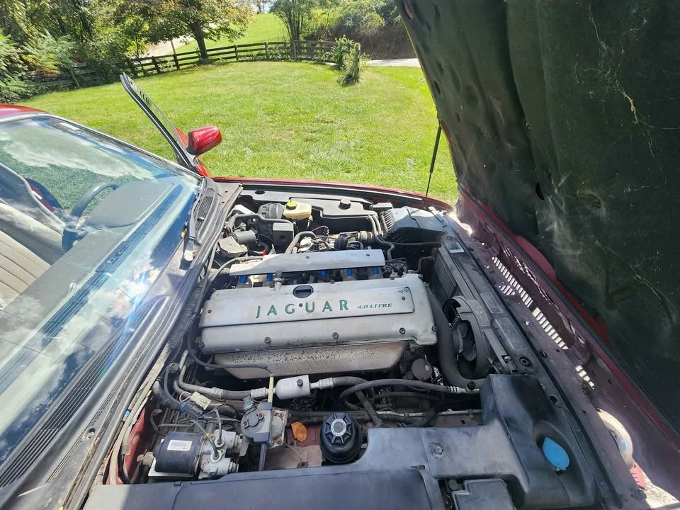 1997 Jaguar X300 XJ - Image 12 of 13