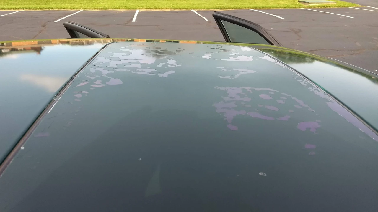 1997 Jaguar X306 XJR - Image 8 of 31