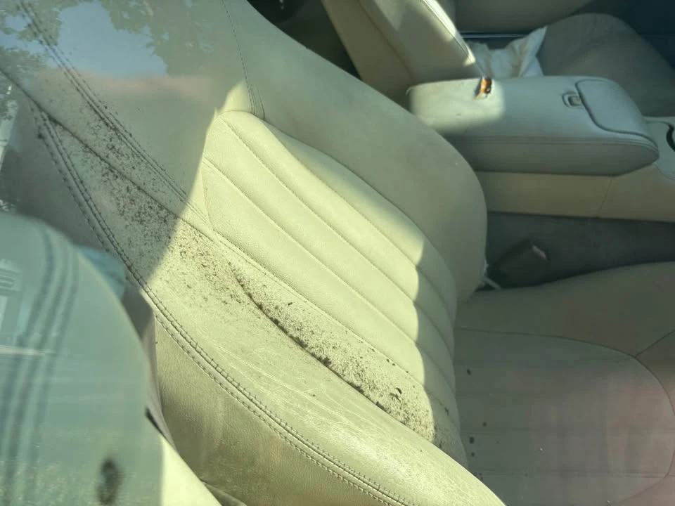 1997 Jaguar X100 XK8 - Image 4 of 6