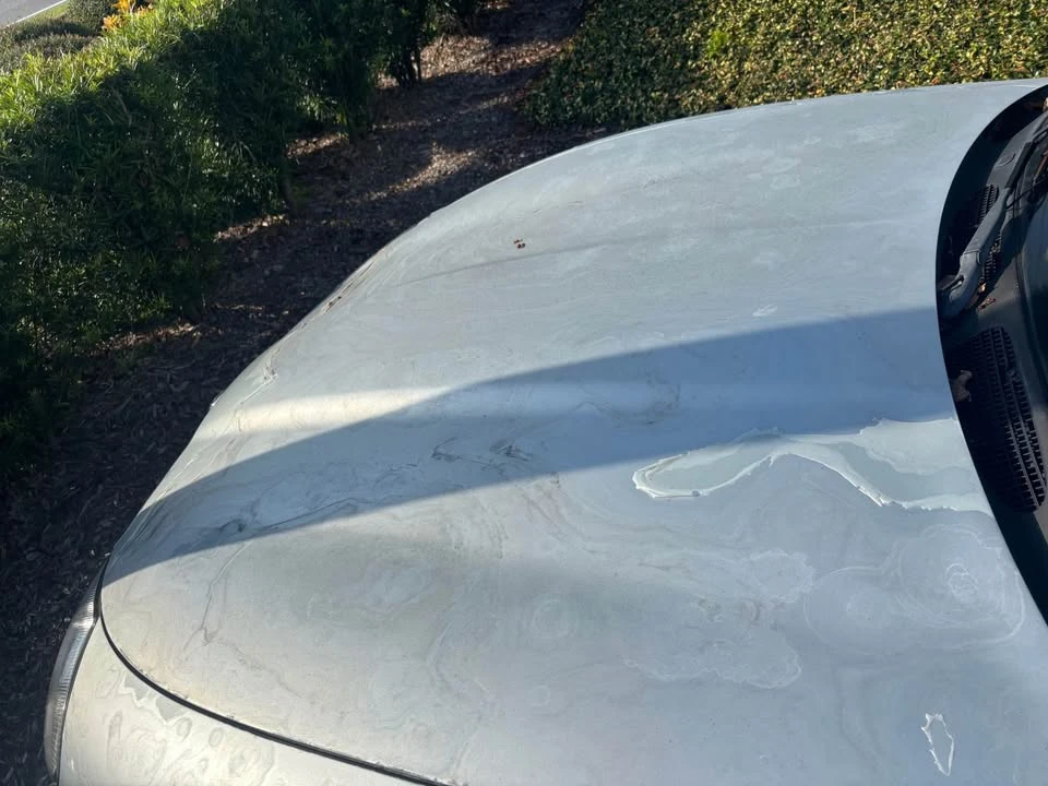 1997 Jaguar X100 XK8 - Image 3 of 6