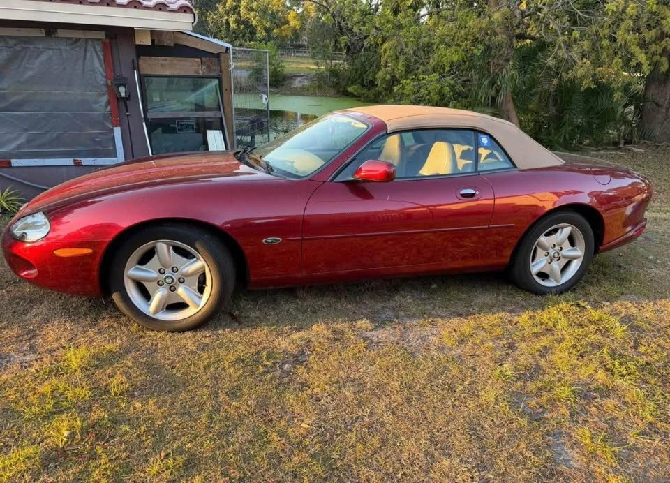 1997 Jaguar X100 XK8 - Image 5 of 5