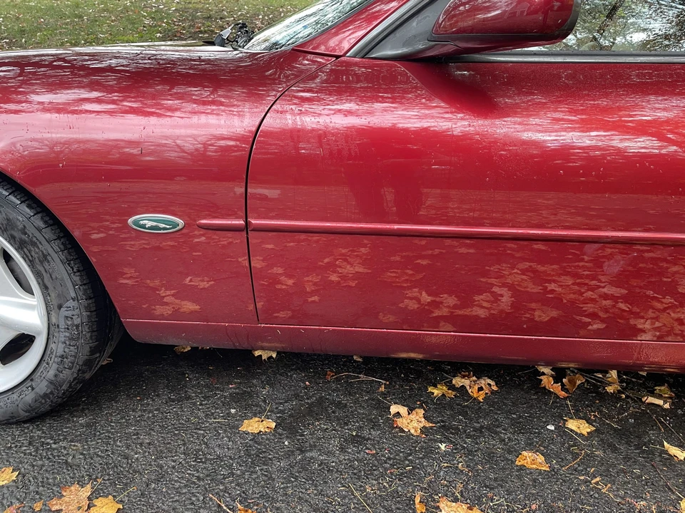 1997 Jaguar X100 XK8 - Image 9 of 31