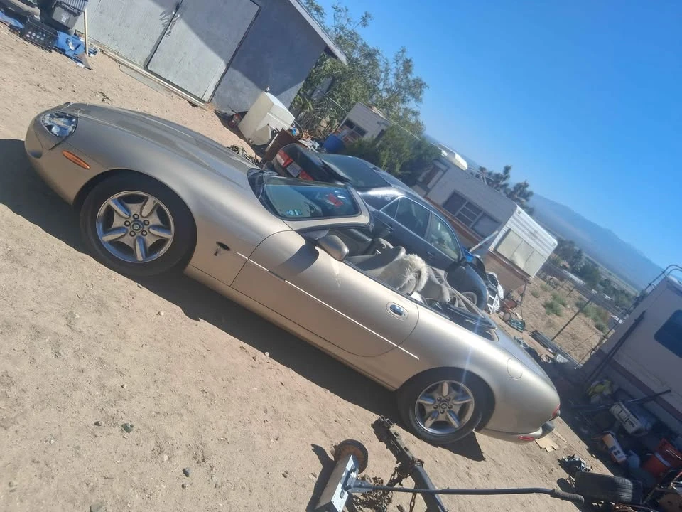 1997 Jaguar X100 XK8 - Image 5 of 5