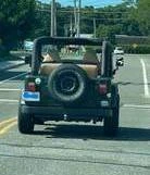1997 Jeep TJ Wrangler - Image 4 of 4