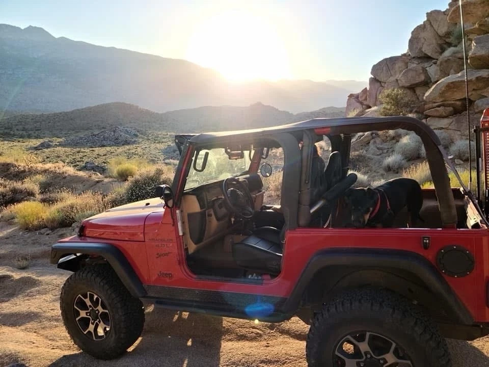 1997 Jeep TJ Wrangler - Image 6 of 21