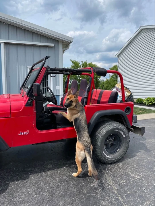 1997 Jeep TJ Wrangler - Image 3 of 11
