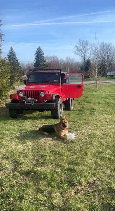 1997 Jeep TJ Wrangler - Image 6 of 11