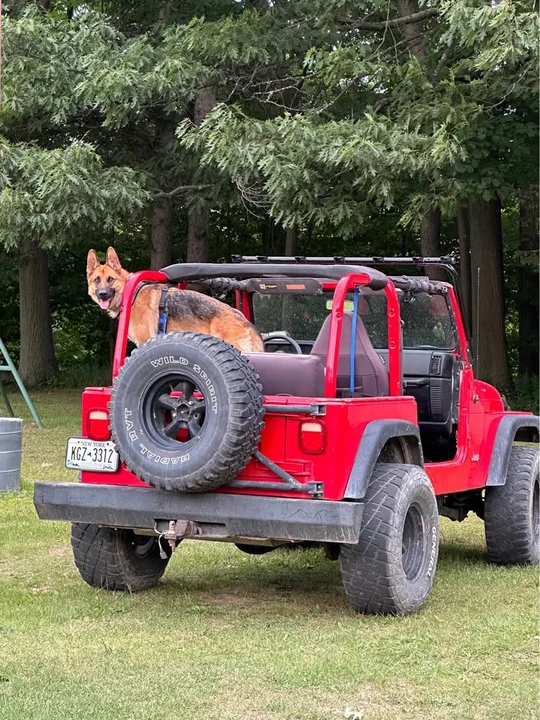 1997 Jeep TJ Wrangler - Image 7 of 11