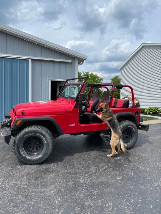 1997 Jeep TJ Wrangler - Image 2 of 11