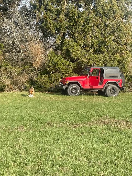 1997 Jeep TJ Wrangler - Image 5 of 11