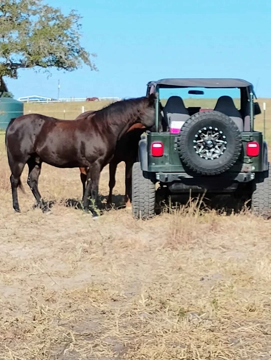 1997 Jeep TJ Wrangler - Image 10 of 10