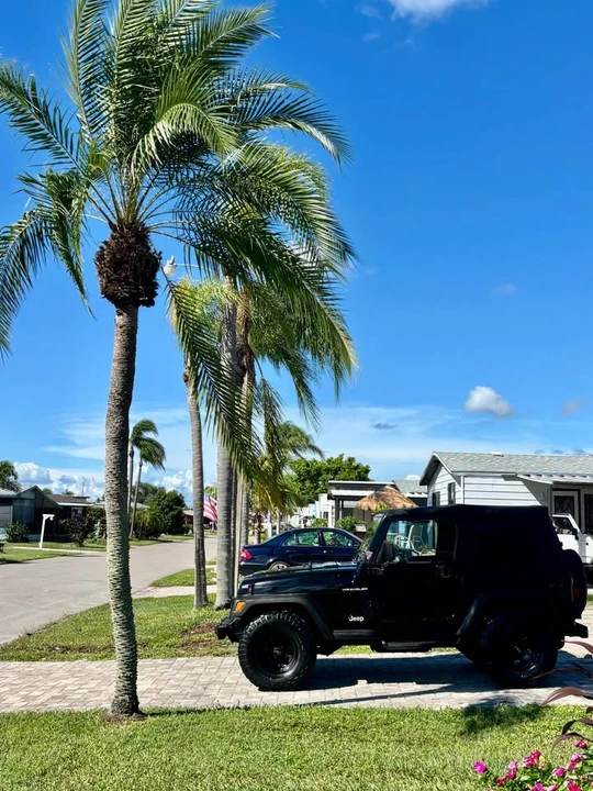 1997 Jeep TJ Wrangler - Image 8 of 13
