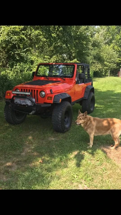 1997 Jeep TJ Wrangler - Image 4 of 5